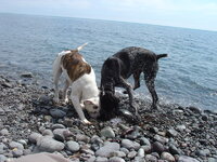 DSC03684_resize.JPG
