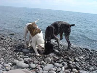 DSC03684_resize.webp