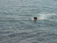 DSC03679_resize.JPG