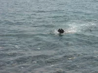 DSC03679_resize.webp