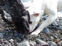 DSC03685_resize.JPG