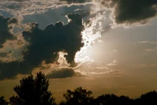 00490023.webp