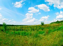 00490024.webp