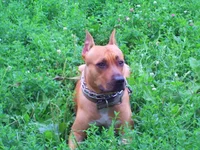 PICT0058.webp