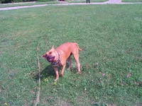 PICT0045.webp