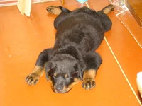 DSC03211.JPG