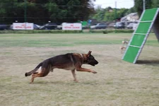 DSC_5222.webp