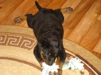 DSC03201.JPG