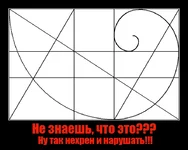 154374.webp