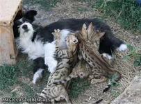 f02078a2de27.webp