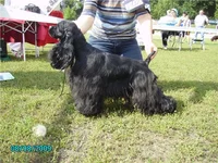 ad89e5885bbd.webp