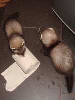 DSC00886.JPG