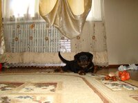 DSC03251.JPG