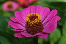 _MG_1507.webp