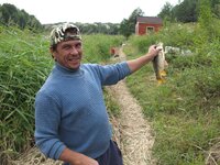 ДомикиВТарановке.jpg