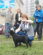 3dd82bea979a.webp