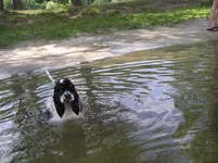 P7120149.webp