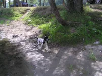 P7120157.webp