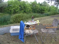 P7120255.webp