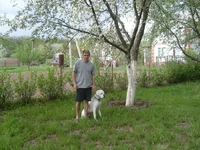 0050.webp