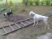 S7300235.webp