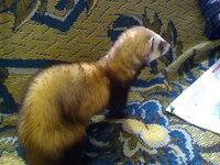 DSC00043.JPG