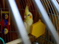 DSC00730.JPG