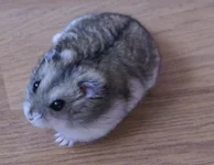 DSC01628.webp