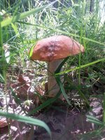 20150602_094731.jpg