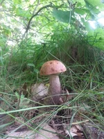 20150602_095333.jpg
