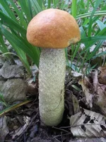 20150606_150344.jpg