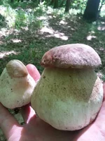 20150608_114059.jpg