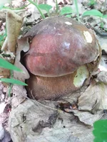 20150608_121029.jpg