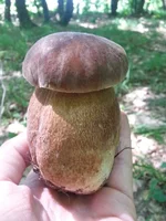 20150608_121059.webp