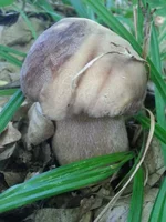 20150610_092524.jpg