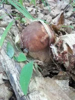 20150610_093810.jpg
