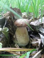 20150610_100406.jpg