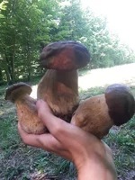 20150610_102210.webp
