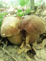 20150610_121028.jpg