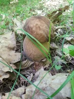20150610_131659.webp