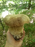 20150610_133434.jpg