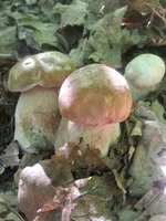 20150708_093302.jpg