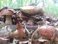 20150714_112121.jpg