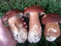 20150720_185637.webp