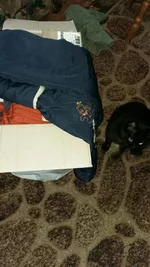 2015-10-27 Винница 1.webp