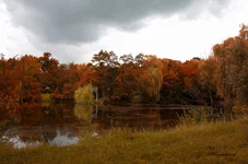 FOTO2091.webp