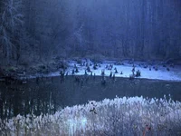 DSCF90390.webp