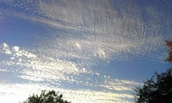 IMAG0258.webp