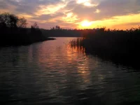 IMG_20151101_153020_131.webp