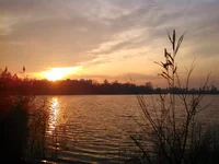IMG_20151101_154014_252.webp